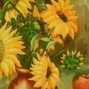 Słoneczniki Słoneczniki