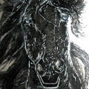 Koń fryzyjski Koń fryzyjski