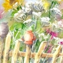 Za płotem Za płotem