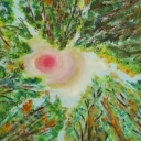 prześwit lesny prześwit lesny