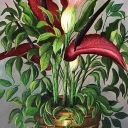 Smocz lilia Smocz lilia