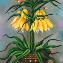 Cesarska korona Cesarska korona