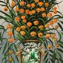 SANDERSONIA SANDERSONIA