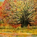 Na uroczysku part 2 Na uroczysku part 2