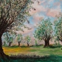 Wierzby w polu Wierzby w polu