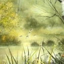 LETNIA MGIEŁKA LETNIA MGIEŁKA