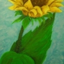 słonecznik na niebieskim tle