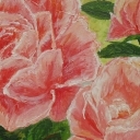 róze dla mamy róze dla mamy