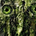 Leśny król Leśny król