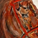 Jaki koń każdy widzi... Jaki koń każdy widzi...