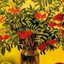 JARZĘBINA CZERWONA JARZĘBINA CZERWONA