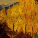 płoną lasy płoną lasy