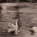 Dwa światy Dwa światy