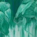 żurawie koroniaste żurawie koroniaste