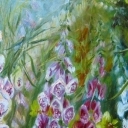 Naparstnice Naparstnice