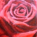 Rose I Rose I