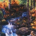 leśne impresje leśne impresje