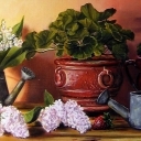 jeszcze wiosna czy już lato? jeszcze wiosna czy już lato?