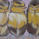 Nasze małe ploteczki Nasze małe ploteczki