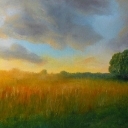 słońce i wierzba słońce i wierzba