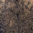 Nim nadejdzie lato Nim nadejdzie lato