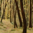 las wiosną las wiosną