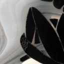 Matisse Dream Matisse Dream