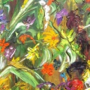 Szał traw Szał traw