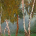 Przydrożne brzozy Przydrożne brzozy