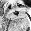 Szukam przyjaciela Szukam przyjaciela