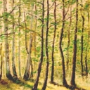 Wiosenny las Wiosenny las