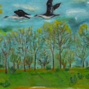 zwiastuny wiosny zwiastuny wiosny