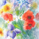 Kwiaty z ogrodu Kwiaty z ogrodu