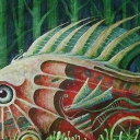 Rybka leśna Rybka leśna