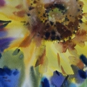 Slonecznik Slonecznik