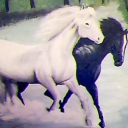 Blondas i Czarna Blondas i Czarna