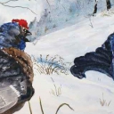 Cietrzewie Cietrzewie