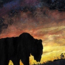 Grizli o zachodzie Grizli o zachodzie