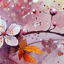 Kwitnąca wiśnia Kwitnąca wiśnia