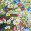 Polne kwiaty Polne kwiaty