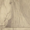 tęskonota tęskonota